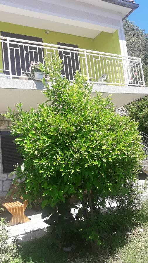 Apartment Dragone Улцинь Экстерьер фото