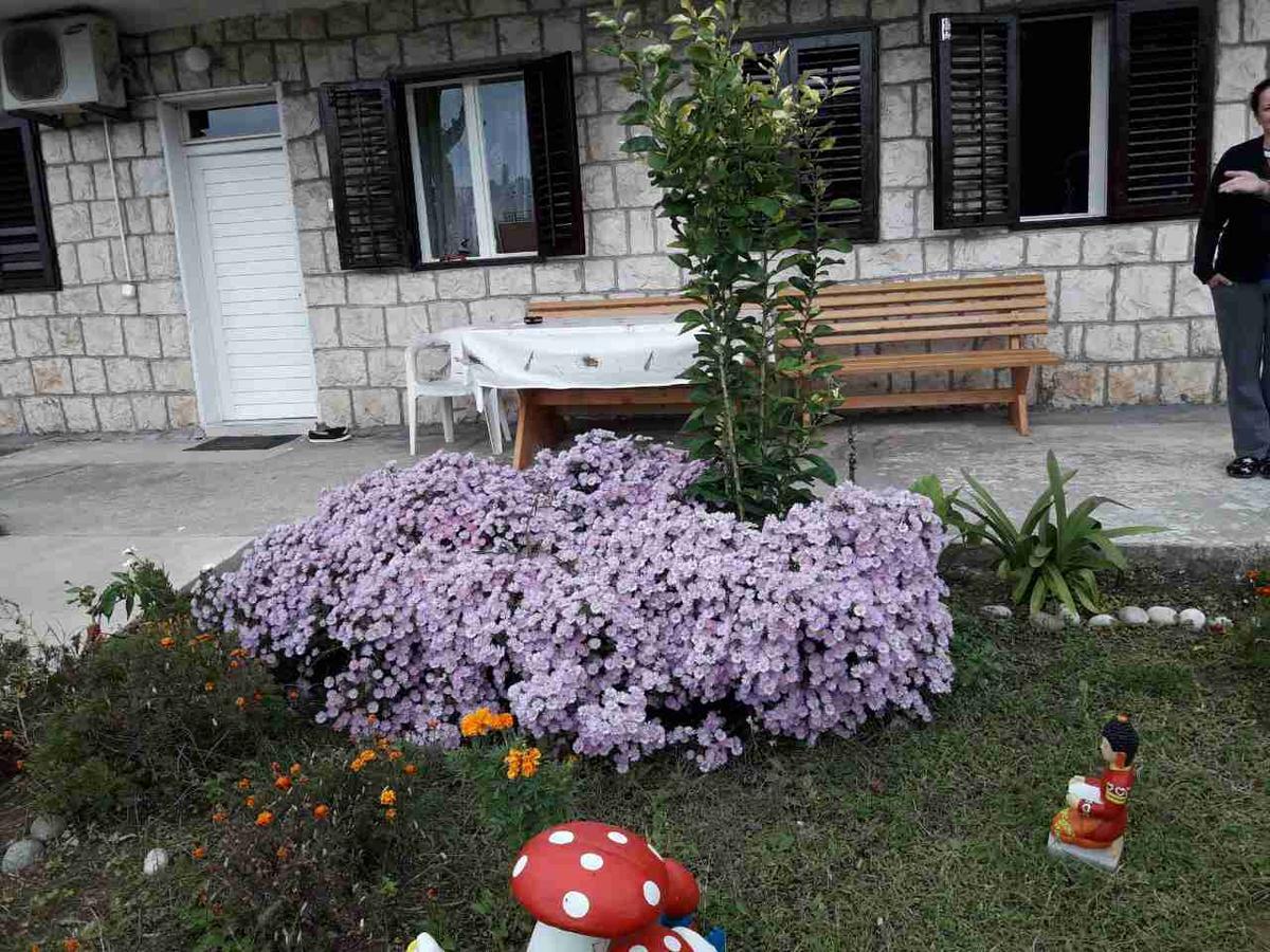 Apartment Dragone Улцинь Экстерьер фото